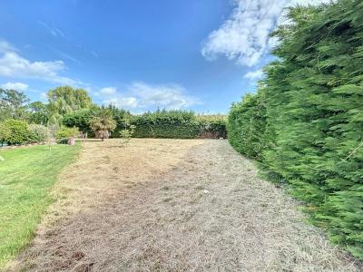 Annonce Vente Terrain Pont-eveque 38