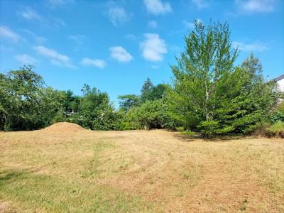 For sale Charbonnieres-les-bains 910 m2 Rhone (69260) photo 2