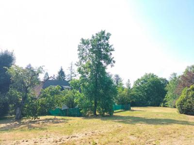 For sale Charbonnieres-les-bains 910 m2 Rhone (69260) photo 3