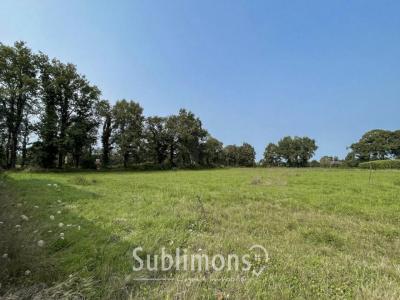 Acheter Terrain 839 m2 Plescop