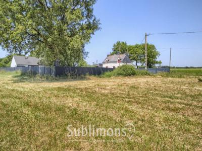 For sale Dreffeac 890 m2 Loire atlantique (44530) photo 3