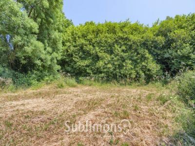For sale Saint-gildas-des-bois 576 m2 Loire atlantique (44530) photo 4