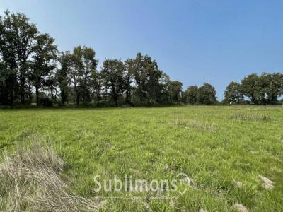 Annonce Vente Terrain Plescop 56