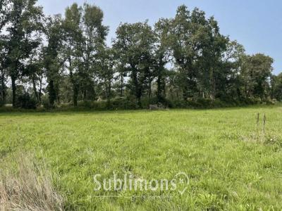 Acheter Terrain 848 m2 Plescop