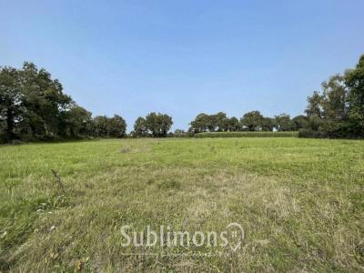 Acheter Terrain Plescop Morbihan