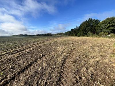 Acheter Terrain 1374 m2 Languidic