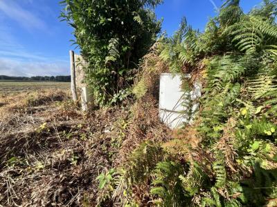 Acheter Terrain Languidic Morbihan