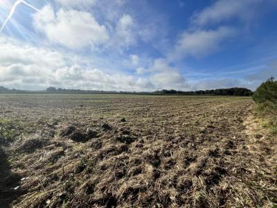Acheter Terrain Languidic 55900 euros