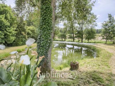 Annonce Vente 6 pices Maison Monteneuf 56