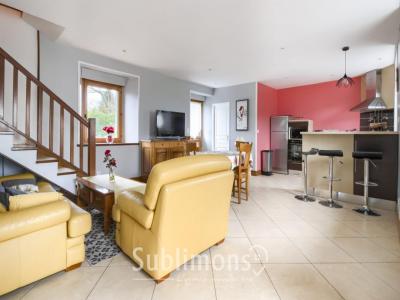 Acheter Maison 295 m2 Languidic