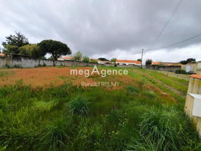 Annonce Vente Terrain Ile-d'olonne 85