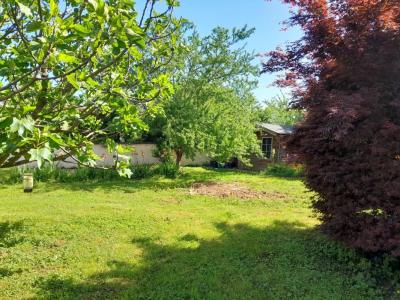 Annonce Vente 6 pices Maison Seurre 21