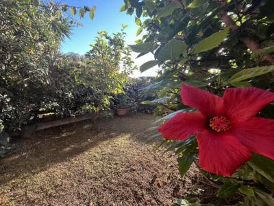 Annonce Location Appartement Ajaccio 20