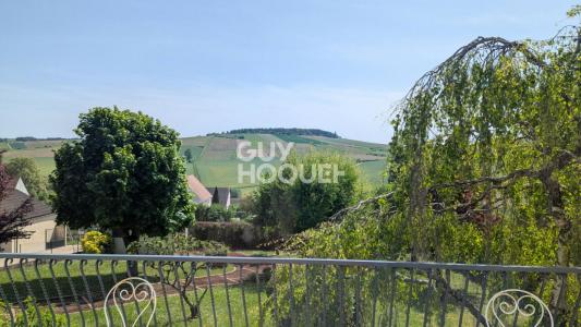 For sale Saint-bris-le-vineux 8 rooms 168 m2 Yonne (89530) photo 2