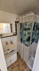 Louer Appartement Bastia 370 euros