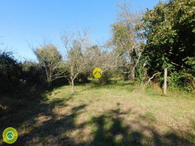 For sale Vatan 4 rooms 73 m2 Indre (36150) photo 2