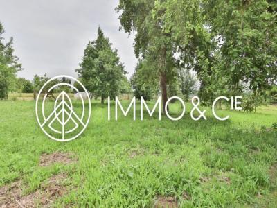 For sale Faumont 5 rooms 175 m2 Nord (59310) photo 3