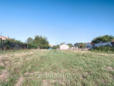 Annonce Vente Terrain Champtoceaux 49