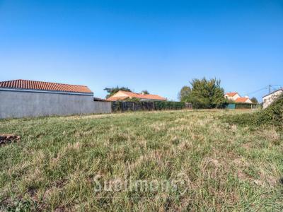 Acheter Terrain 1044 m2 Champtoceaux