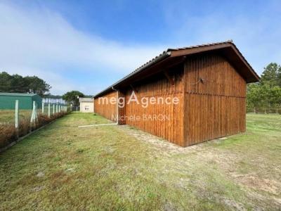 Annonce Vente Prestige Saint-michel-escalus 40