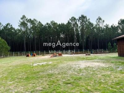 Acheter Prestige 245 m2 Saint-michel-escalus