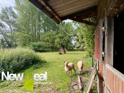 For sale Orchies 7 rooms 198 m2 Nord (59310) photo 2