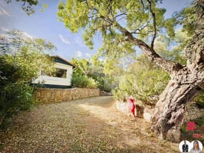 For sale Frejus 3 rooms 342 m2 Var (83600) photo 4