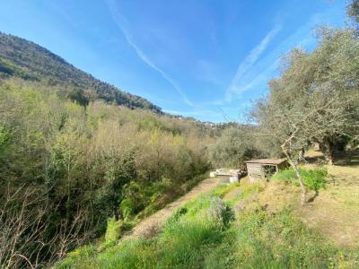 Acheter Maison Saint-blaise Alpes Maritimes