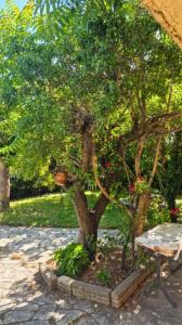 Acheter Maison Avignon Vaucluse