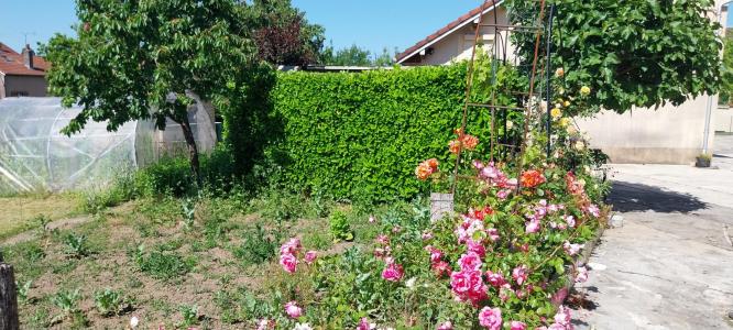 Acheter Maison Fougerolles Haute saone