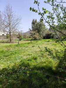 For sale 700 m2 Loire atlantique (44700) photo 0