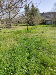 For sale 700 m2 Loire atlantique (44700) photo 1