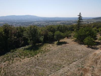 For sale SUR LES HAUTEURS Rhone (69480) photo 1