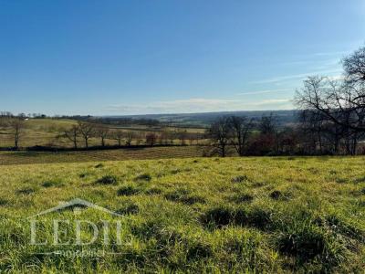 For sale Eauze 7 rooms 215 m2 Gers (32800) photo 1
