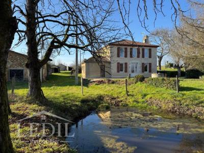 For sale Eauze 7 rooms 215 m2 Gers (32800) photo 3