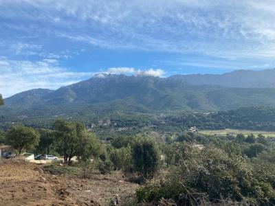 For sale Tavaco 3300 m2 Corse (20167) photo 0