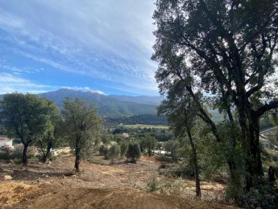 For sale Tavaco 3300 m2 Corse (20167) photo 1