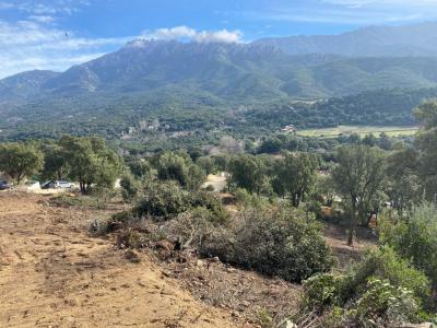 For sale Tavaco 3300 m2 Corse (20167) photo 2