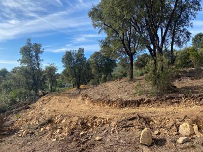 For sale Tavaco 3300 m2 Corse (20167) photo 3