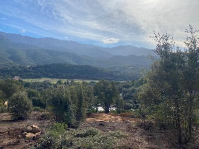 For sale Tavaco 3300 m2 Corse (20167) photo 4