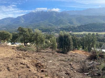 For sale Tavaco 2100 m2 Corse (20167) photo 0