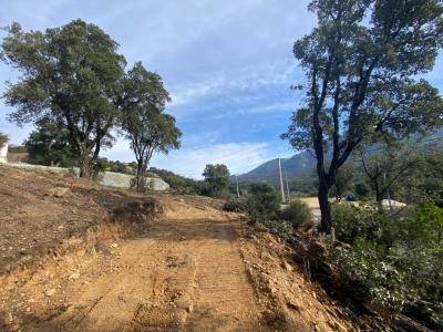 For sale Tavaco 2100 m2 Corse (20167) photo 1