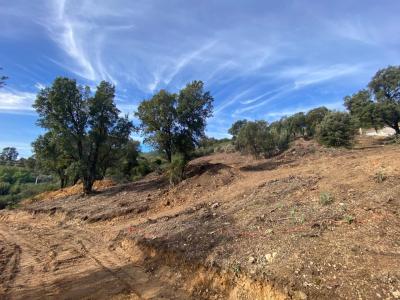 For sale Tavaco 2100 m2 Corse (20167) photo 2