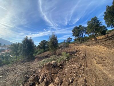 For sale Tavaco 2100 m2 Corse (20167) photo 3