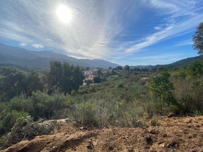 For sale Tavaco 2100 m2 Corse (20167) photo 4