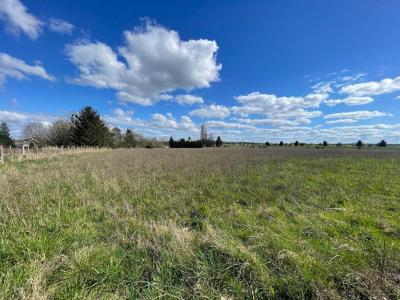 Annonce Vente Terrain Chapelle-sur-aveyron 45