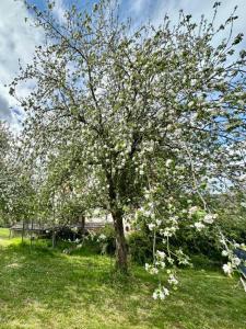 Acheter Maison 196 m2 Lisieux