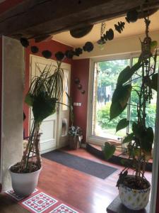 Acheter Maison 107 m2 Fougeres