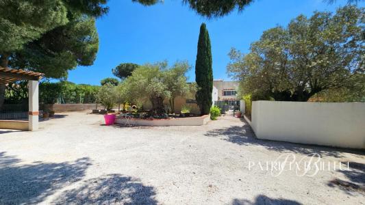 For sale Saint-cyprien 26 rooms 630 m2 Pyrenees orientales (66750) photo 1
