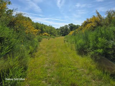 Acheter Terrain 32767 m2 Montereau